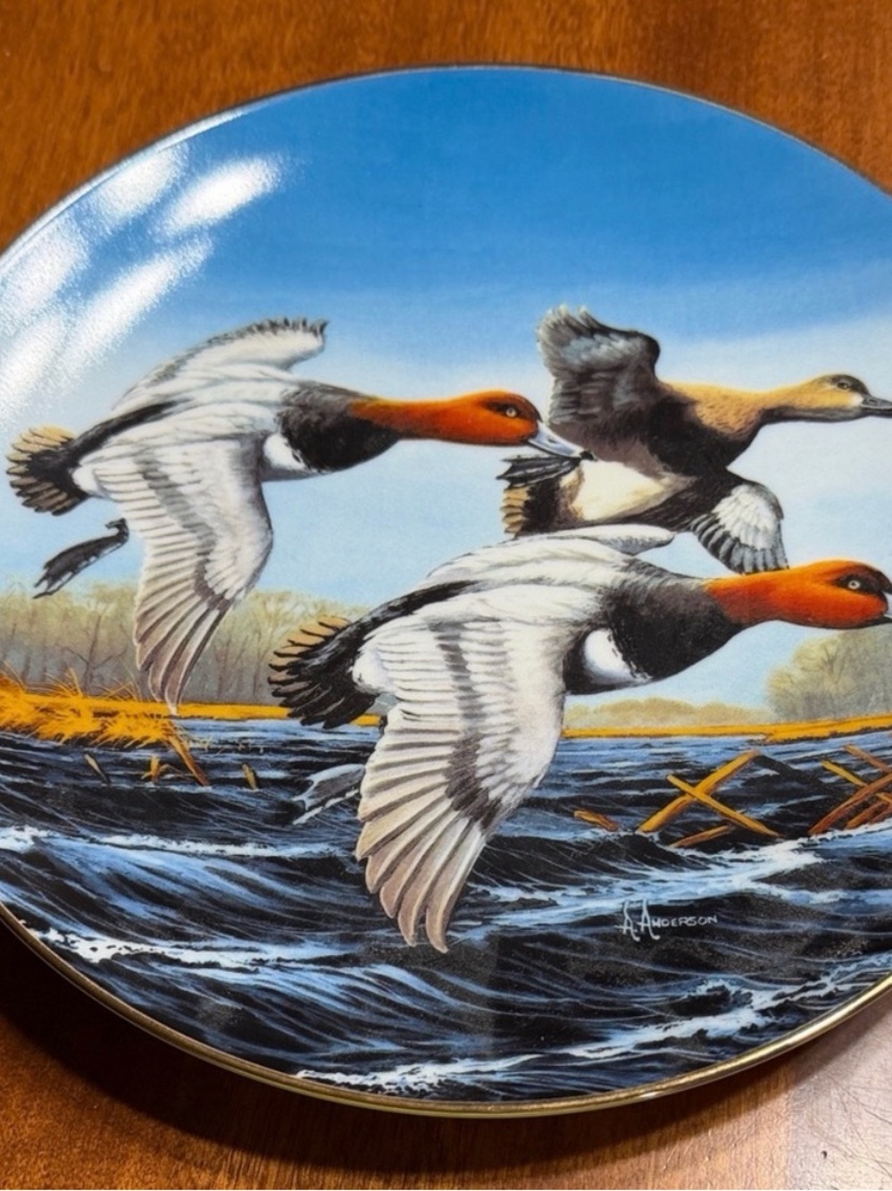 Federal Duck Stamp - ‘Redheads’ by Arthur Anderson - 1991